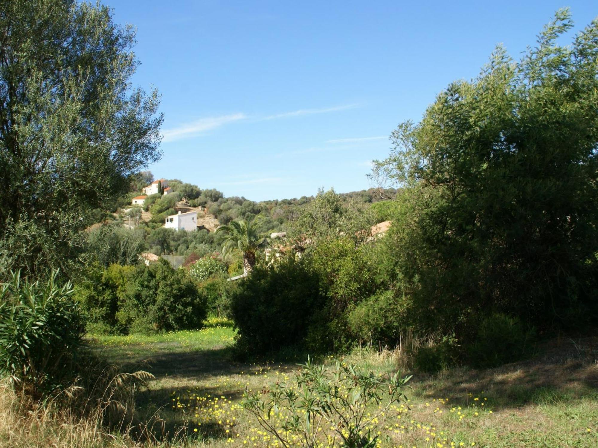 Cosy Holiday Home In Carg Se Corse Du Sud Near Sea Cargese Luaran gambar